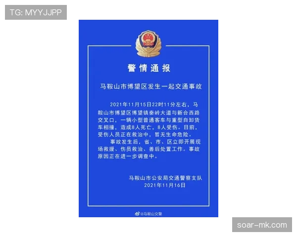 门兴中路调查：城市交通与环境互动关系引发关注